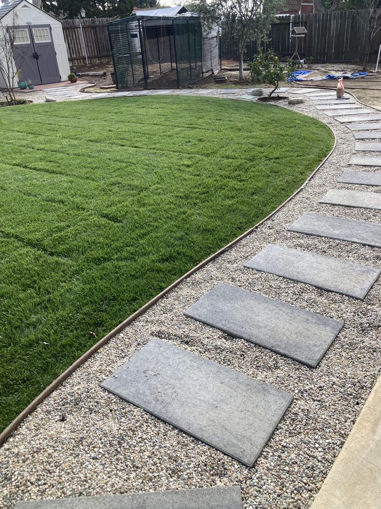 Curved stepping-stone path beside a green lawn in a backyard garden.