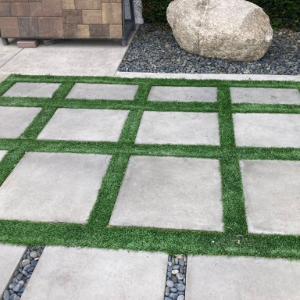 Green leafy succulents growing in a garden bed with dark soil