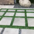 Green leafy succulents growing in a garden bed with dark soil