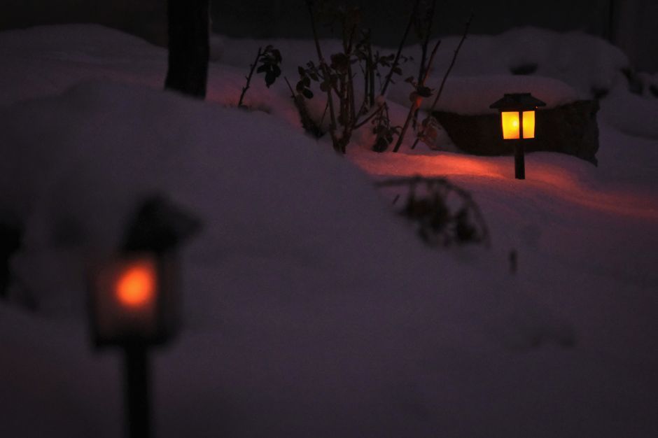 Snow-covered path lit by small glowing lanterns at dusk