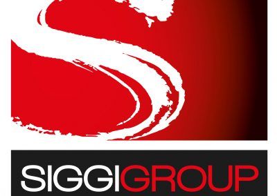 Logo del gruppo Siggi: forma a 