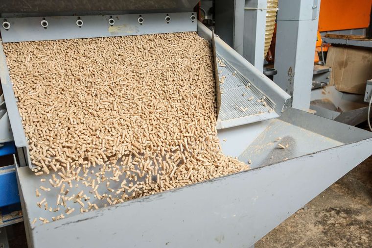 Pellet di legno che cadono a cascata da un nastro trasportatore in un contenitore metallico.