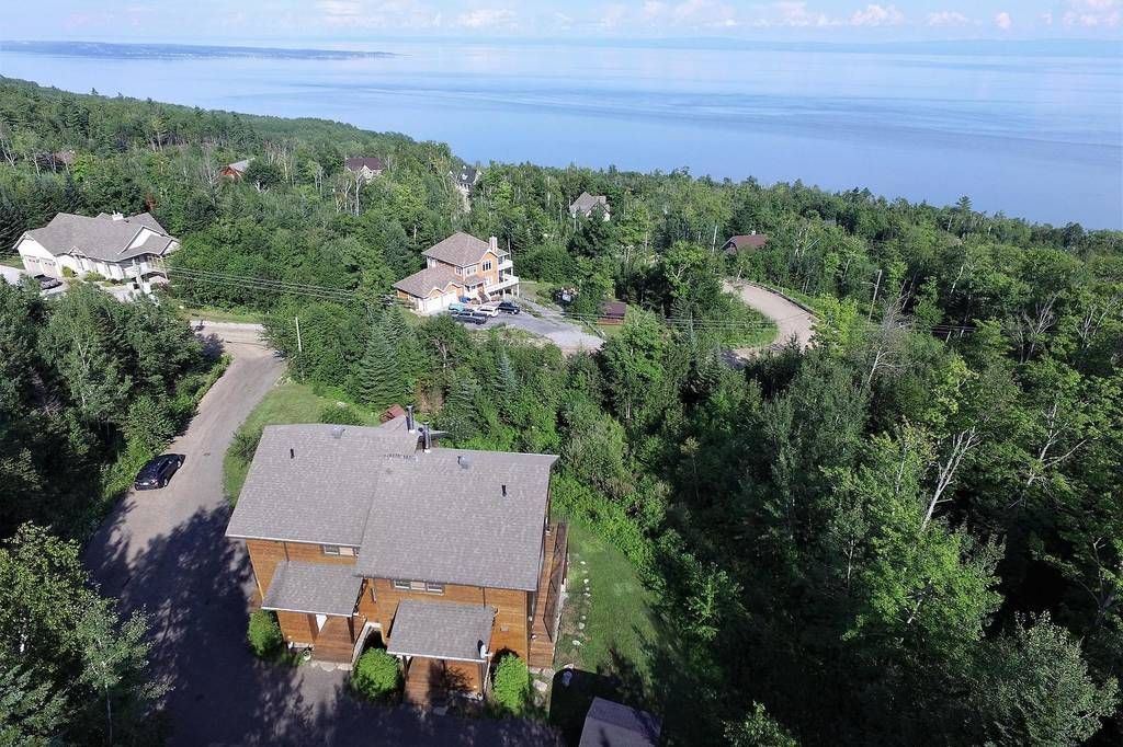 Aerial view of houses nestled in a lush forest along a coastline with a blue body of water.