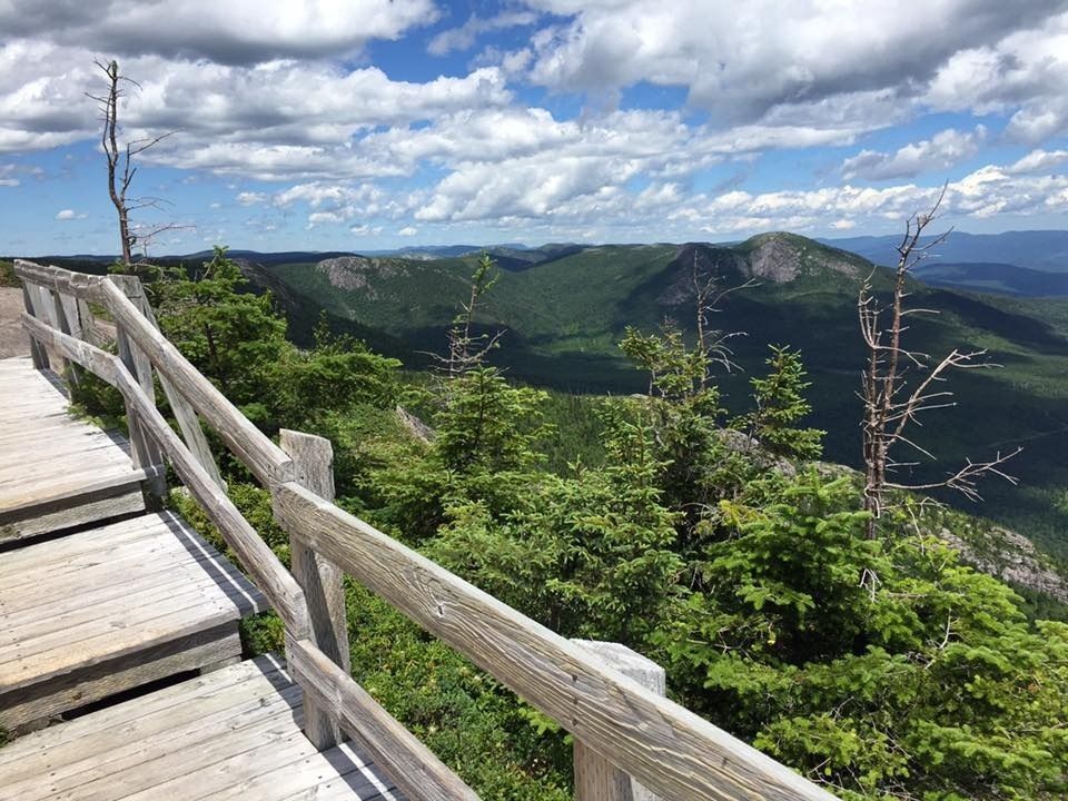Passerelle en bois surplombant une chaîne de montagnes verdoyantes sous un ciel bleu parsemé de nuages ​​cotonneux.