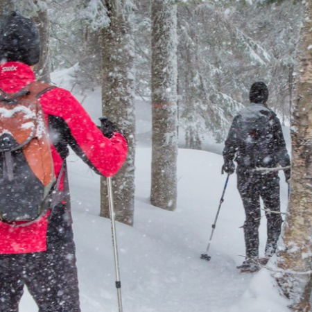 Deux personnes font de la raquette dans une forêt enneigée, utilisant des bâtons, l'une en veste rouge, l'autre en veste noire, sur un sentier enneigé.