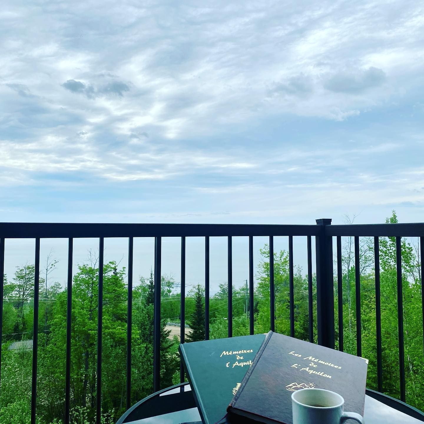 Books and coffee on a balcony table overlooking a green forest and cloudy sky.