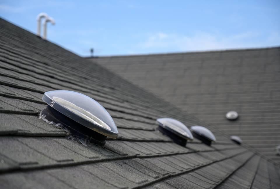 Roof lights