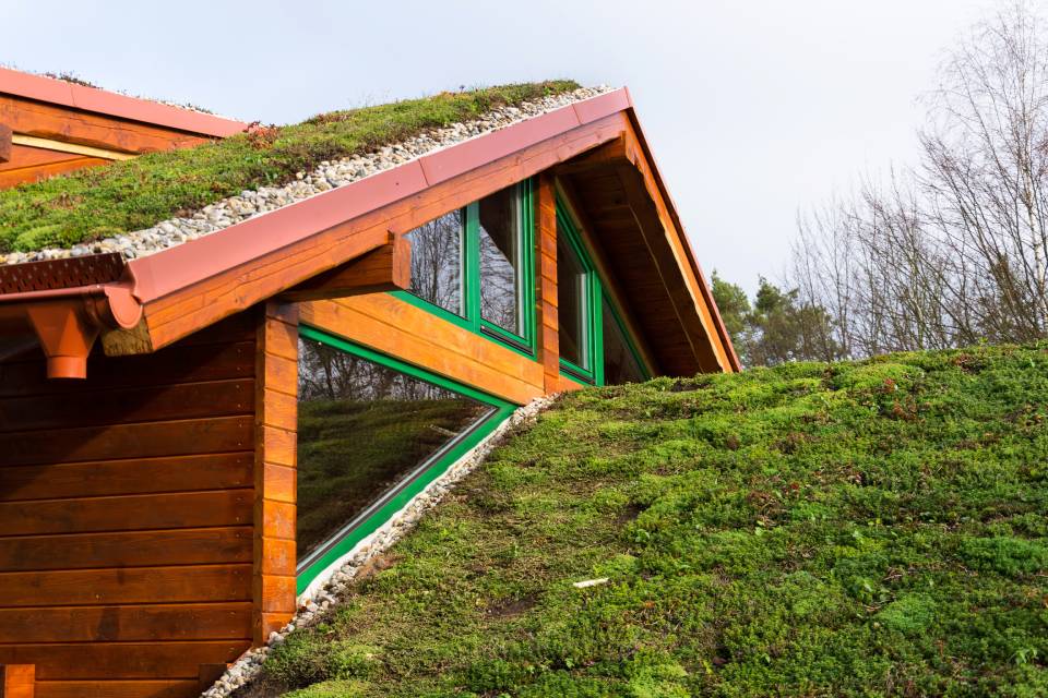 eco green roofing