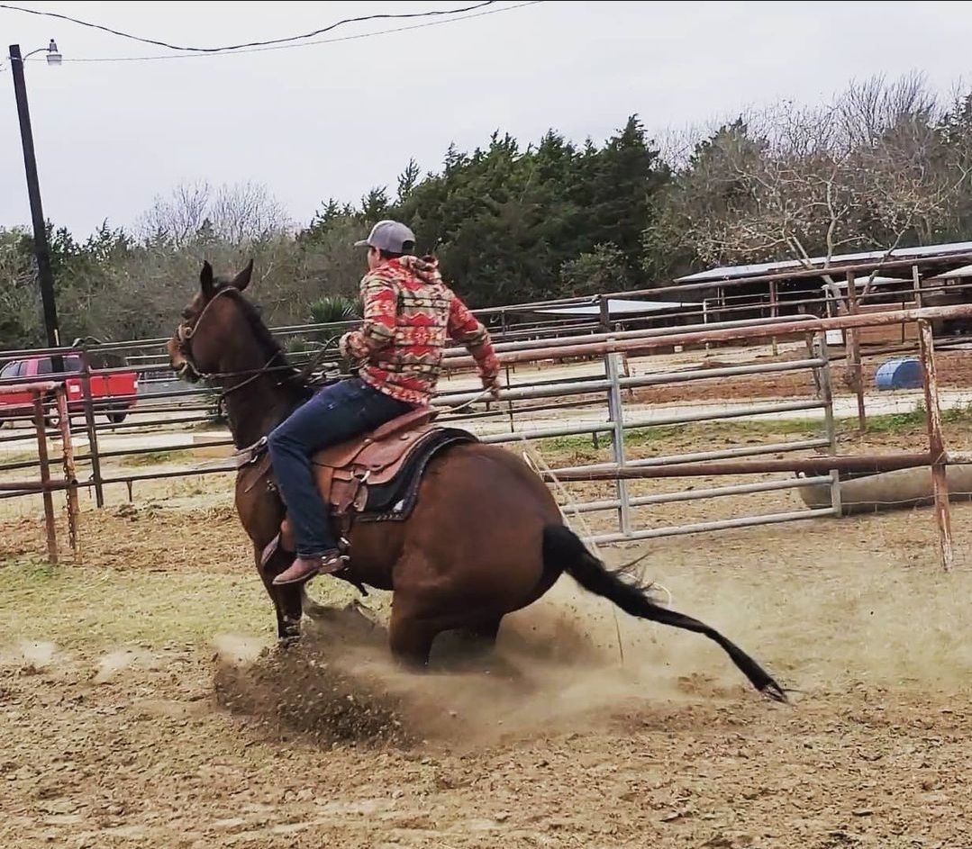 Man on a bay horse, bucking in a dirt pen. The rider wears a jacket and jeans.