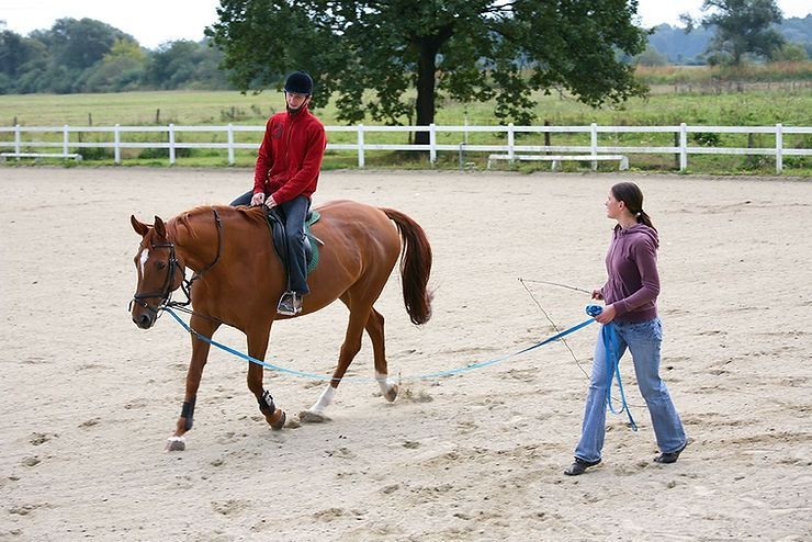 Person on horseback being lunged in an arena by a woman with a blue line.