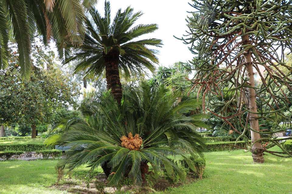 recupero giardini ville storiche