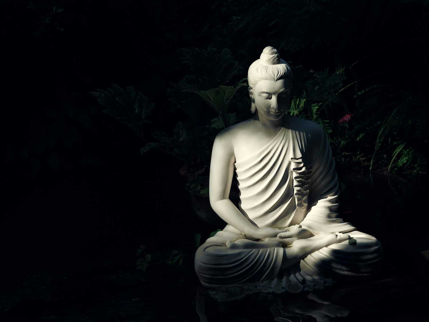 Stress detox buddha statue