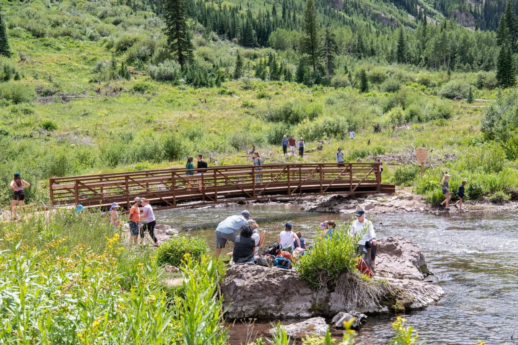 People relax and walk near a wooden footbridge spanning a creek in a lush, green mountain meadow in roaring fork valley colorado