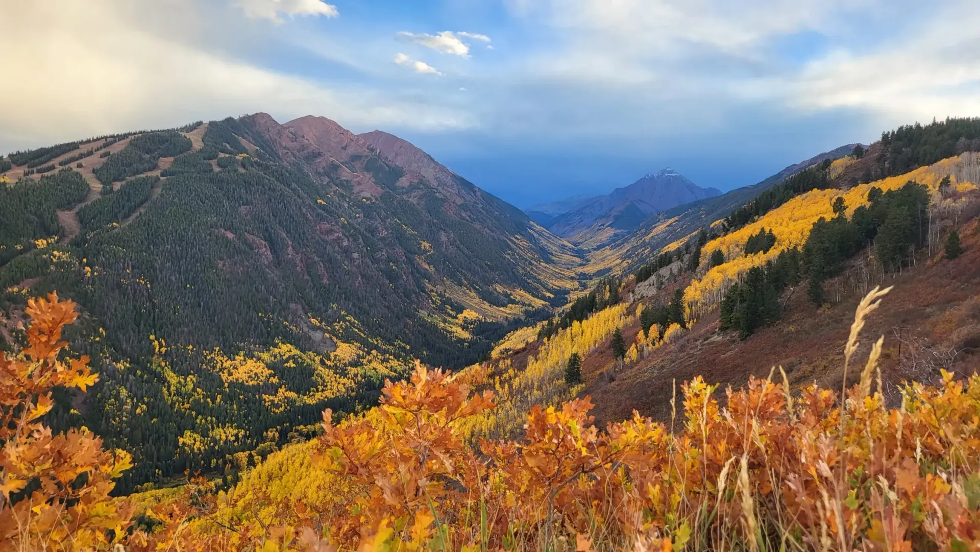 A vibrant autumn mountain landscape featuring gold-leafed trees in a valley beneath dramatic, storm-filled skies.