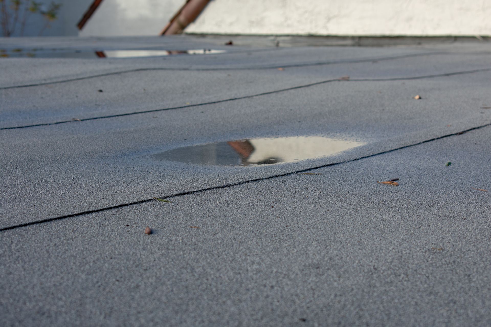 Ponding rainwater on flat roof after rain.