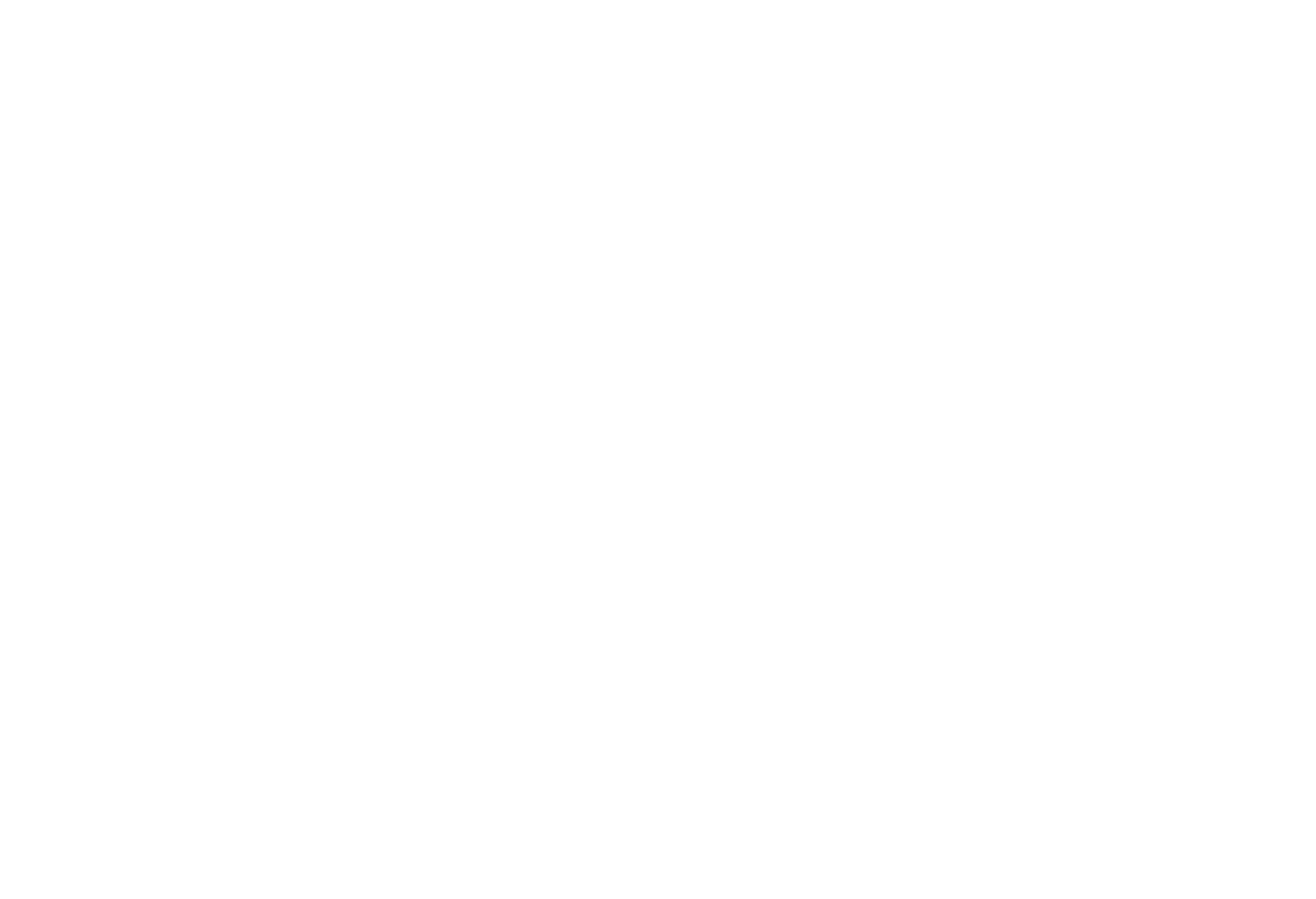 Wimer Law Firm Logo in White | Personal Injury & Criminal Defense Attorney in Mid-Missouri