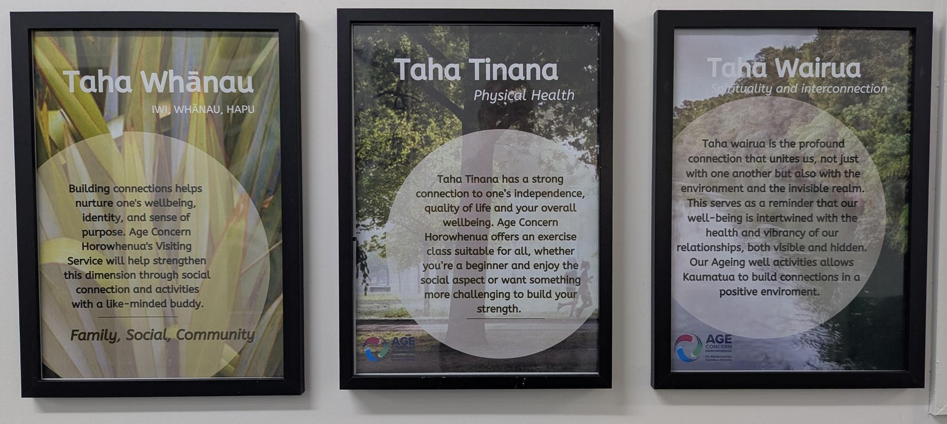 3 frames on a wall.
1: Taha Whānau
Building connections helps nurture one's wellbeing, identity, and sense of purpose. Age Concern Horowhenua's Visiting Service will help strengthen this dimension through social connection and activities with a like-minded buddy.
2: Taha Tinana
Taha Tinana has a strong connection to one's independence, quality of life and your overall wellbeing. Age Concern Horowhenua offers an exercise class suitable for all, whether you're a beginner and enjoy the social aspect or want something more challenging to build your strength.
3: Taha Wairua
Taha Wairua is the profound connection that unites us, not just with one another but also with the environment and the invisible realm. This serves as a reminder that our well-being is intertwined with the health and vibrancy of our relationships, both visible and hidden. Our activities allow Kaumatua to build connections in a positive environment.