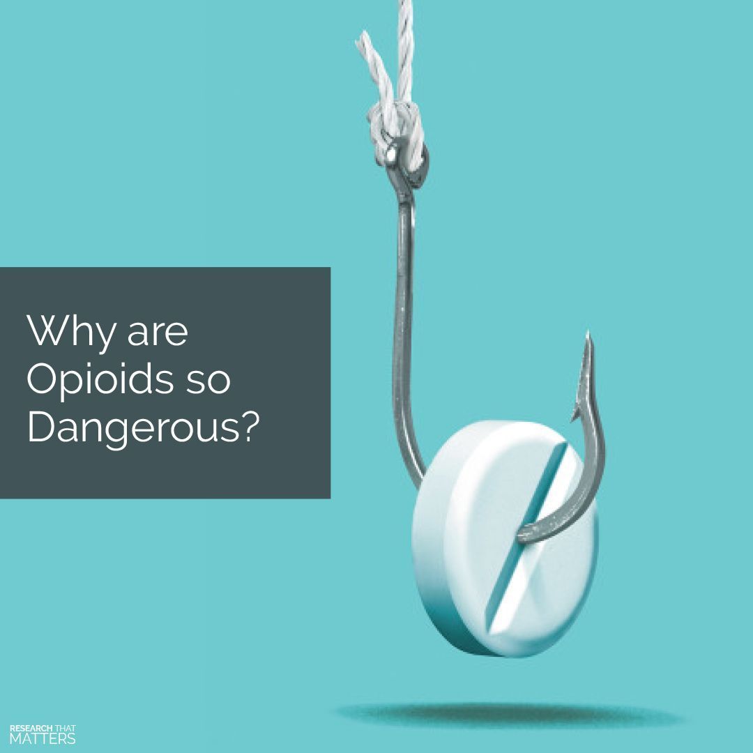 (AUG) Week 1 - Why are Opioids so Dangerous.jpg