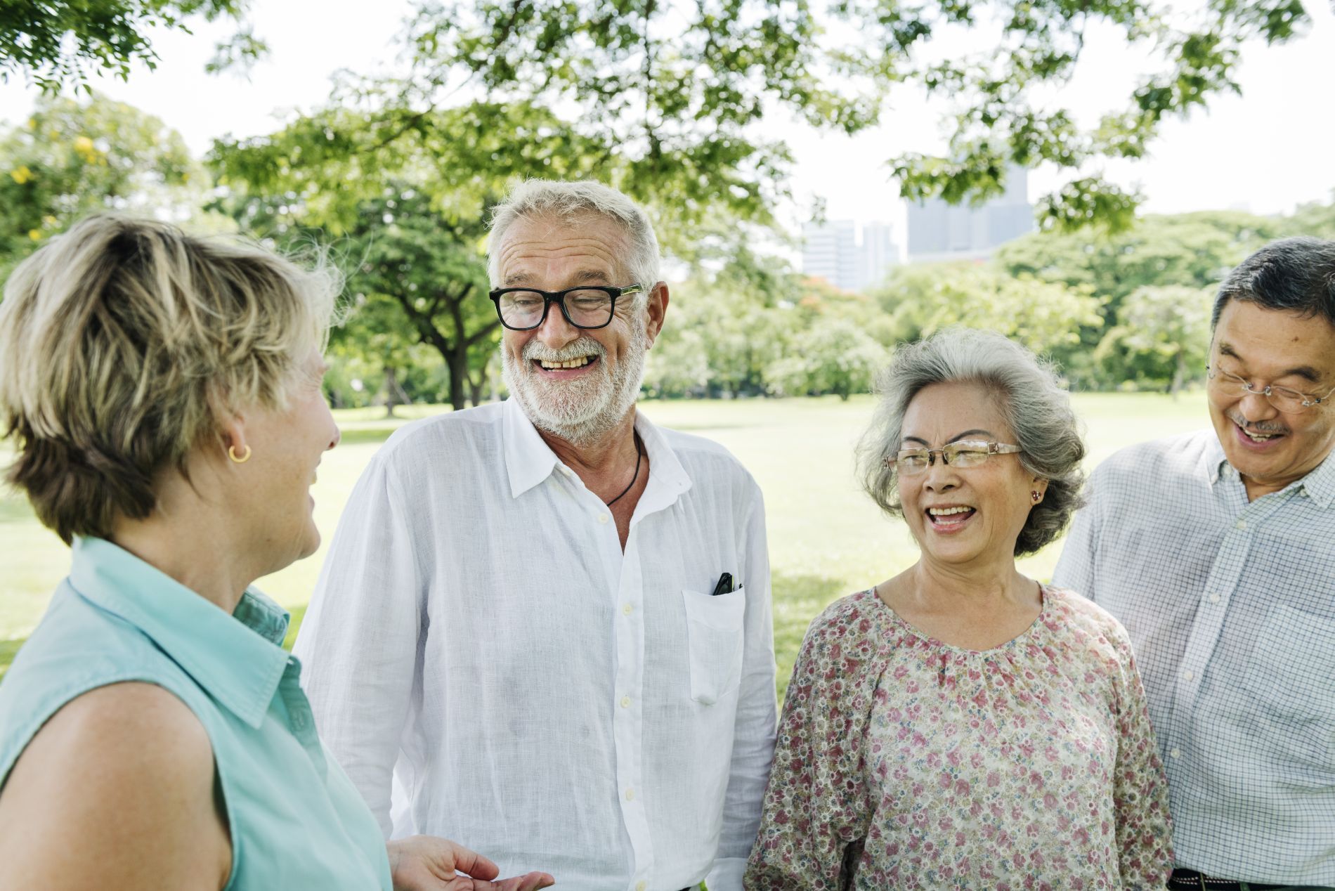 Group of smiling seniors chatting in a sunny park, with green grass and trees in the background.