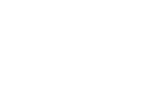 The Shed Store logo