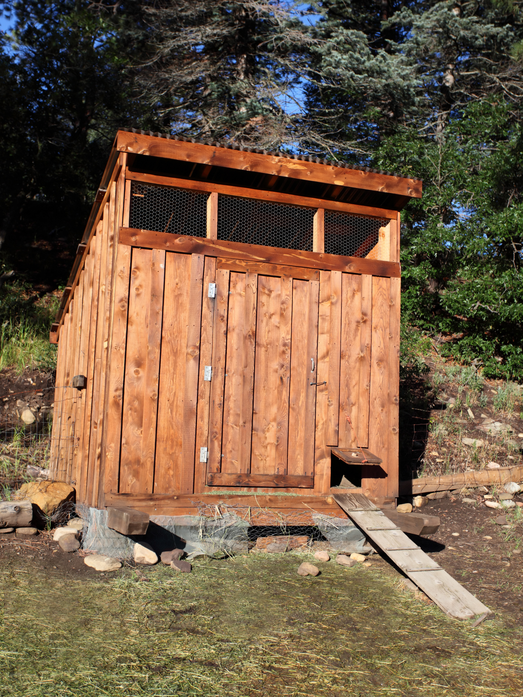 shed