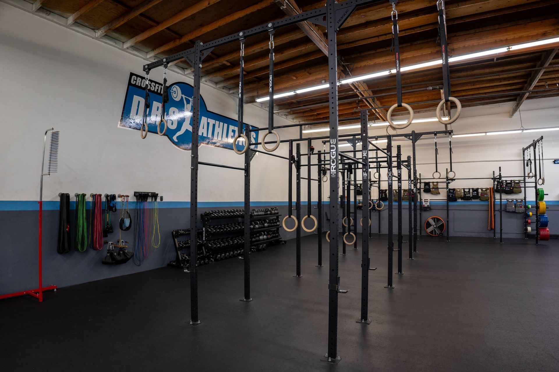 A large gym with a lot of exercise equipment hanging from the ceiling.