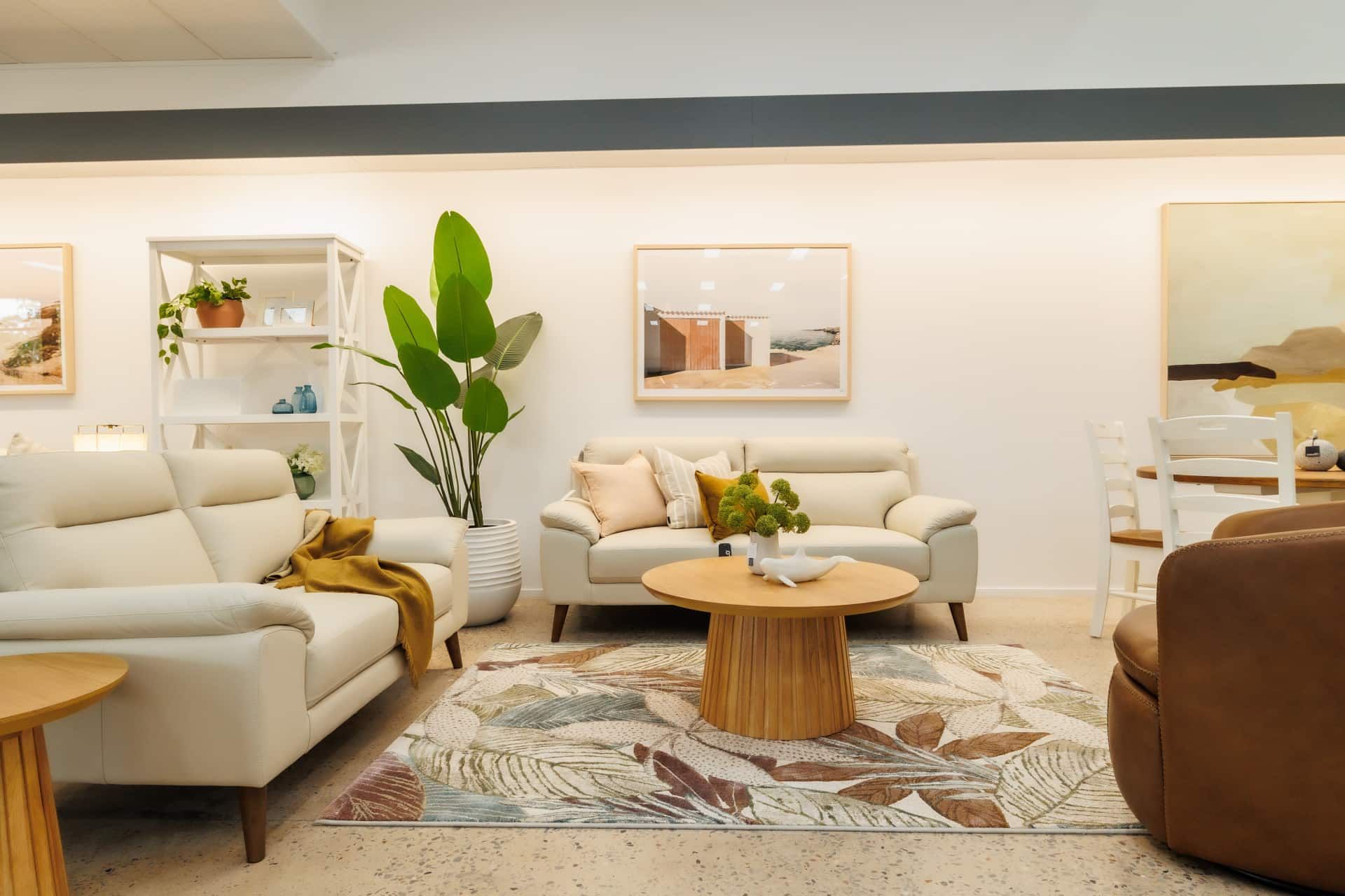 Living room with couches, coffee table and plant — The Comfort Zone Darwin In Palmerston, NT