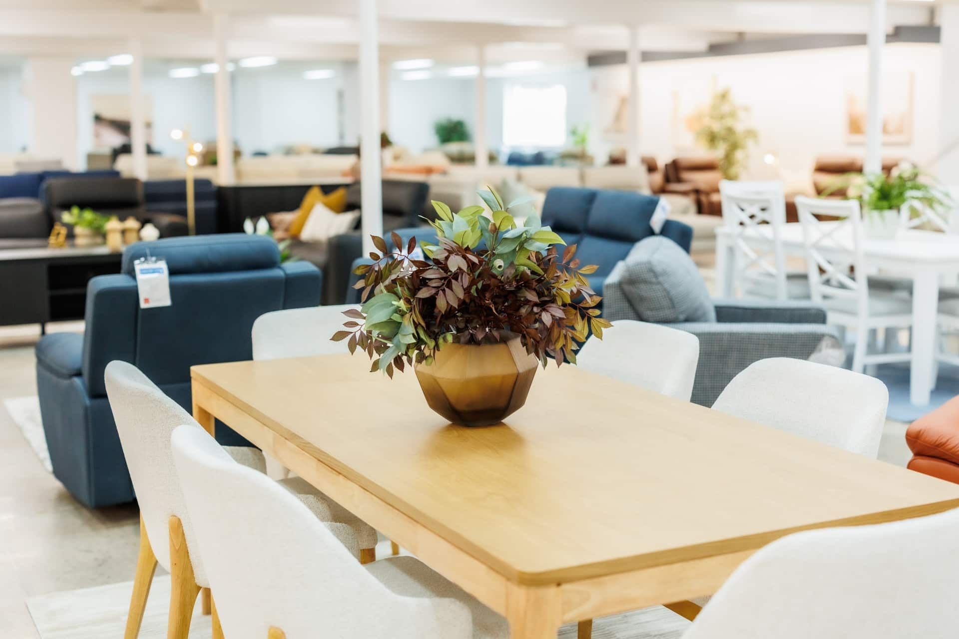 A furniture show room with a dining table and white chairs — The Comfort Zone Darwin In Winnellie, NT