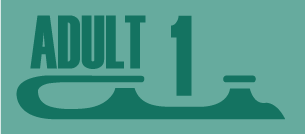 Adult Beginner