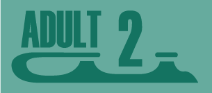Adult Intermediate