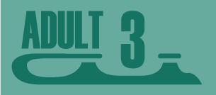 Adult Advanced