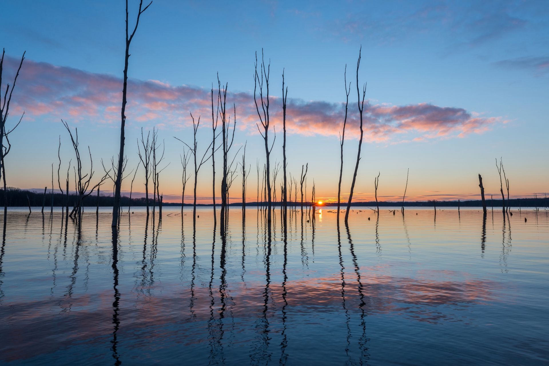 A sunset over a lake with trees in the water