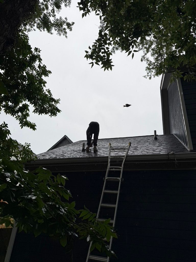 Person on a rooftop with a ladder leaning up, framed by tree branches against a cloudy sky.
