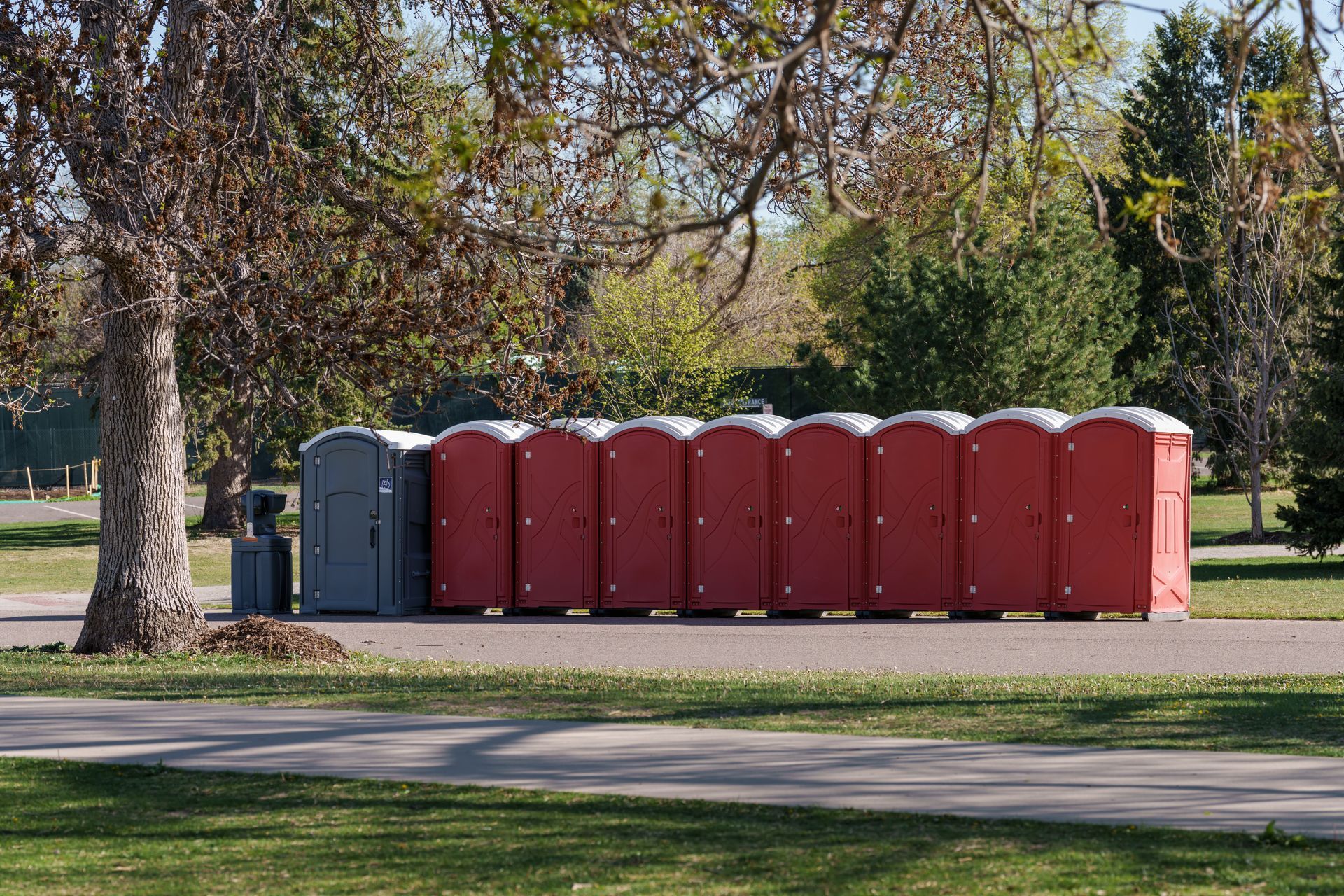 Rows of portable toilets in a park for porta potty rental.