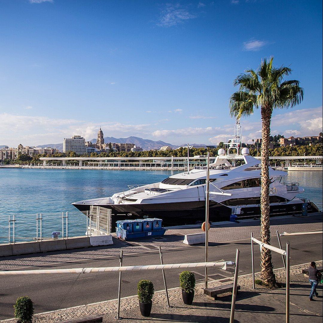 Un par de barcos están atracados en un puerto junto a una palmera.