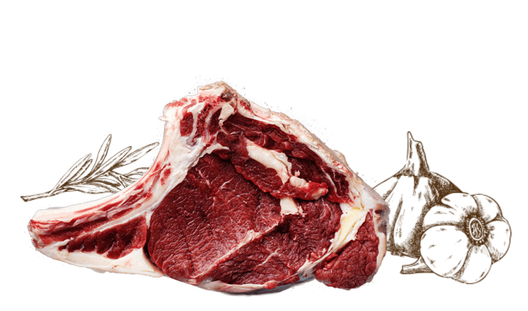 immagine carne