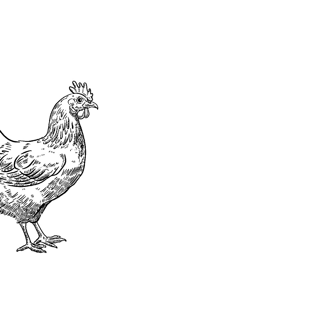 preparati di carne