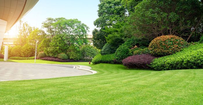 Landscaping — Commercial Landscaping in Lombard, IL Landscaping — Commercial Landscaping in Lombard, IL