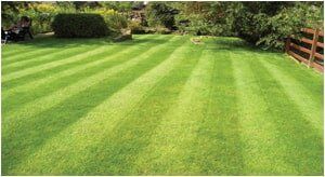 Lawn Maintenance Expert — Office Buildings with Manicured Lawns in Lombard, IL
