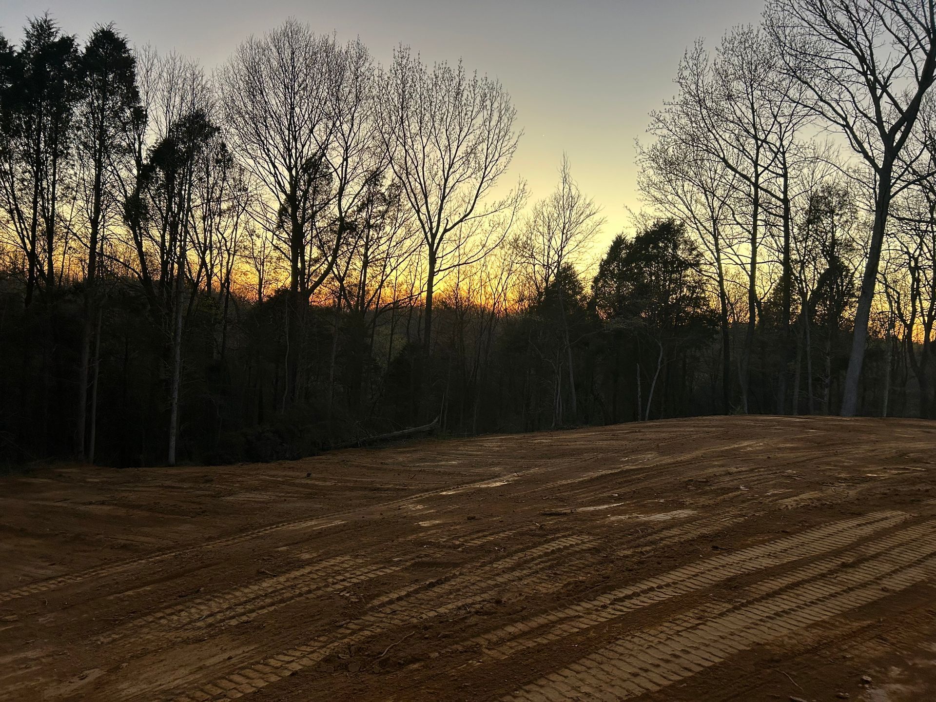 Bare field at sunset with silhouetted leafless trees along the edge