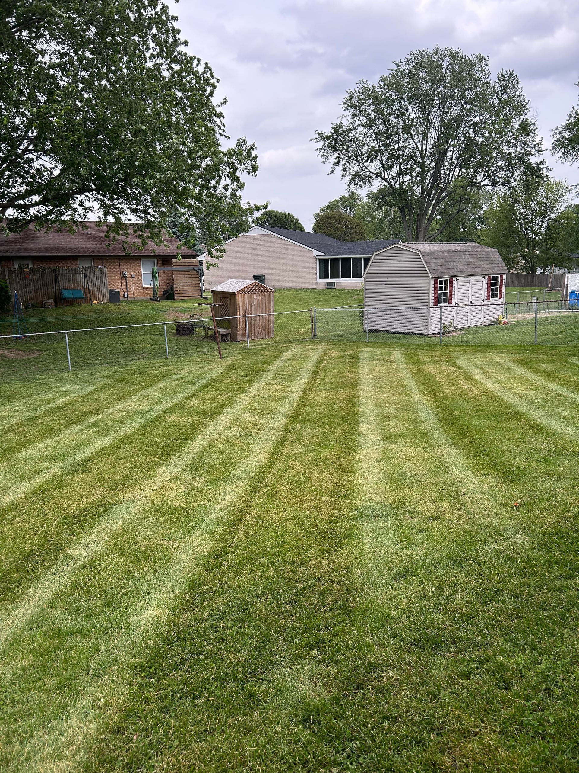 Backyard with striped grass, two trees, sheds, and a small doghouse-like structure near a house.