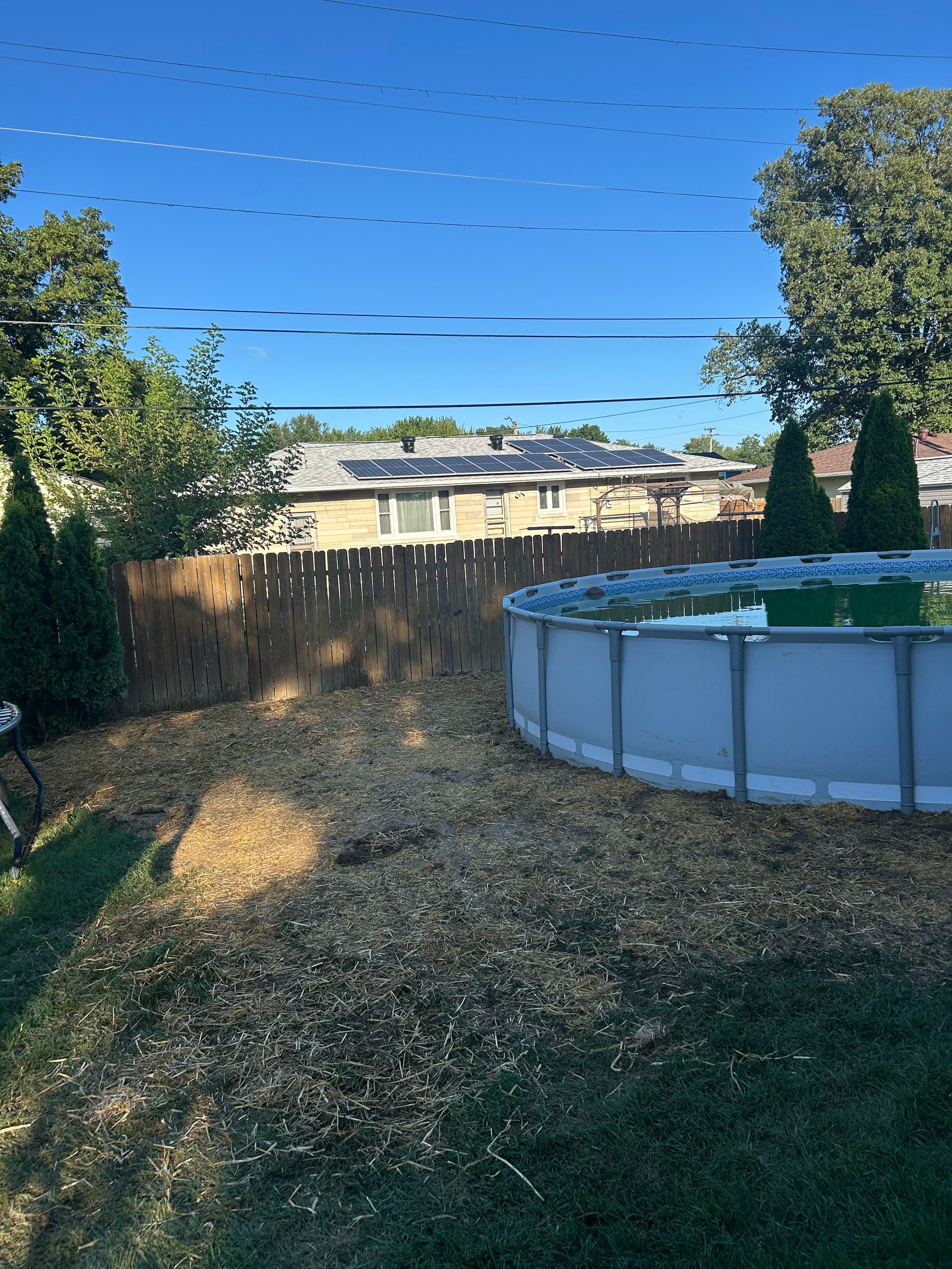 Backyard with trees, a small above-ground pool, and a wooden fence under a clear blue sky