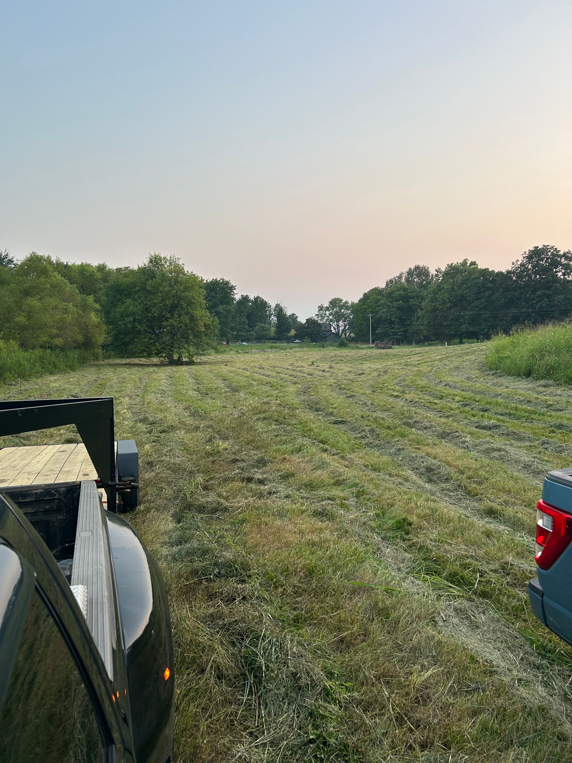 Mowed grassy field at dusk, framed by vehicles, with trees along the horizon