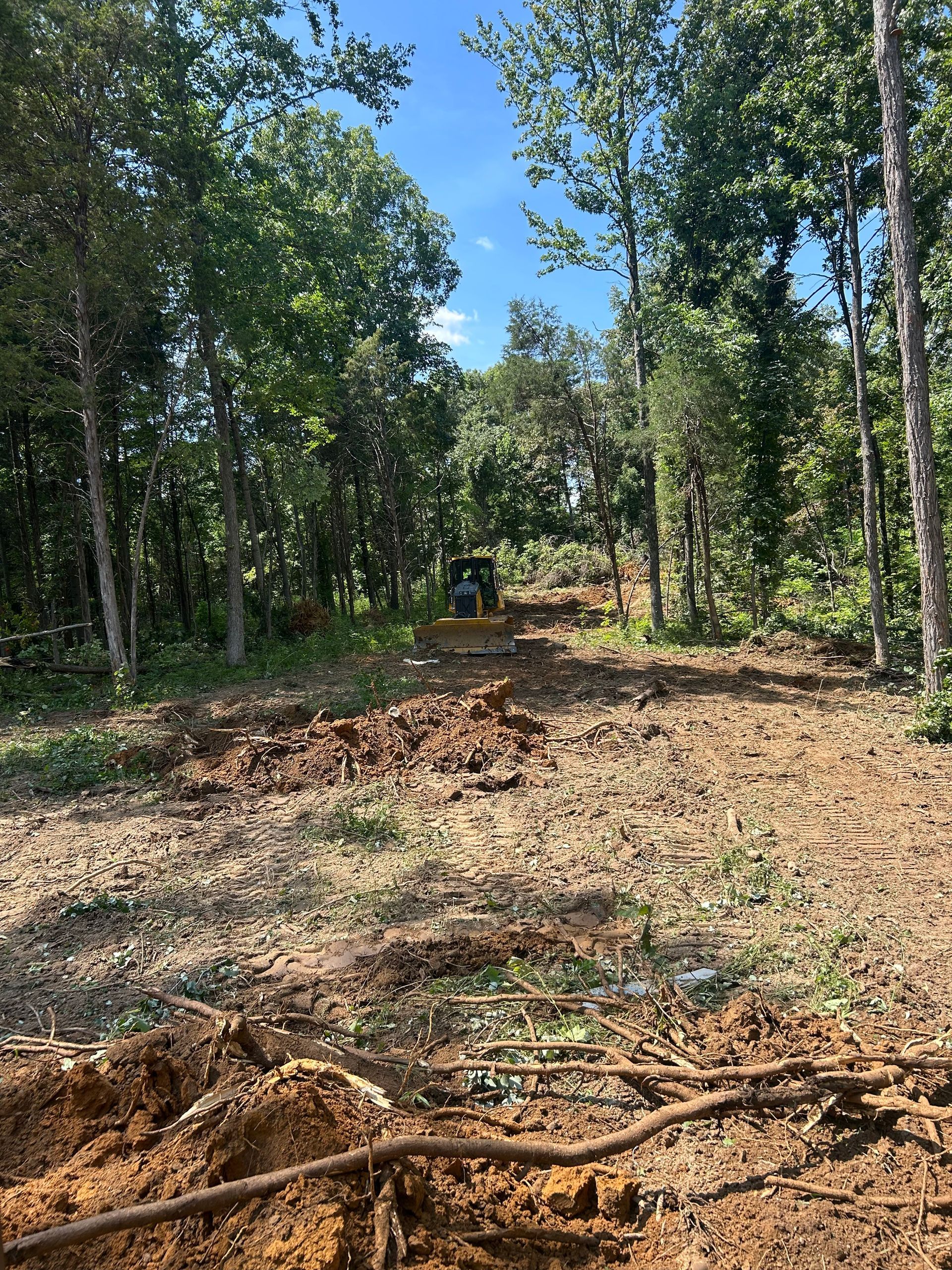 Dirt path through a wooded area with trees on both sides and blue sky overhead