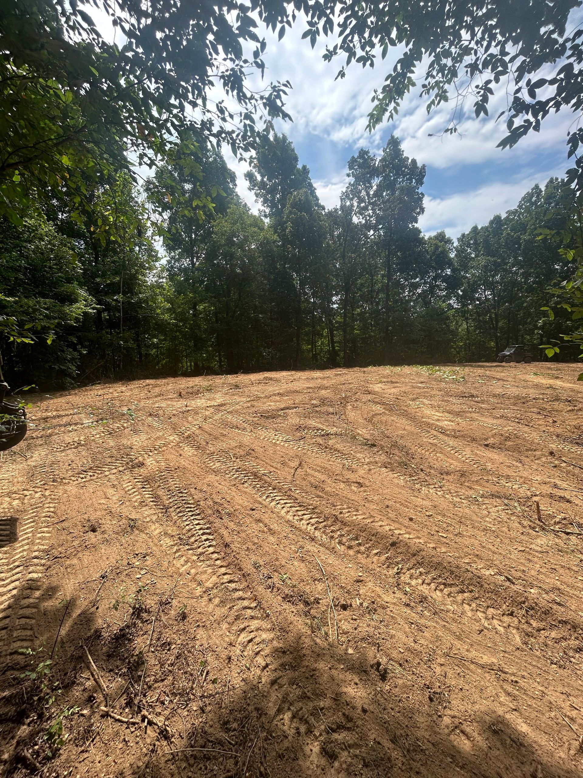 Cleared dirt hillside beside dense trees under a partly cloudy sky