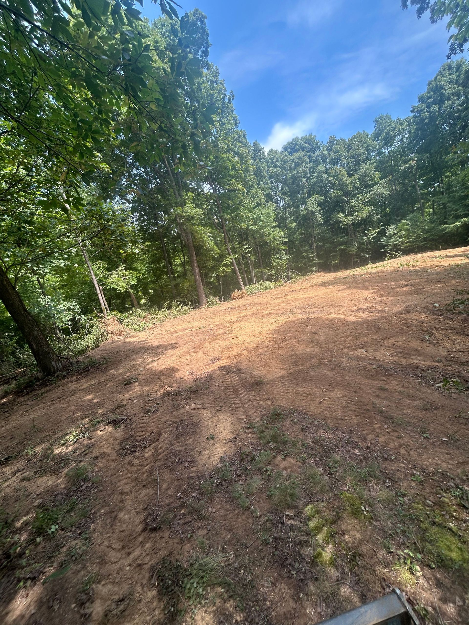 Dirt path on a wooded hillside under a bright blue sky, with trees lining the trail