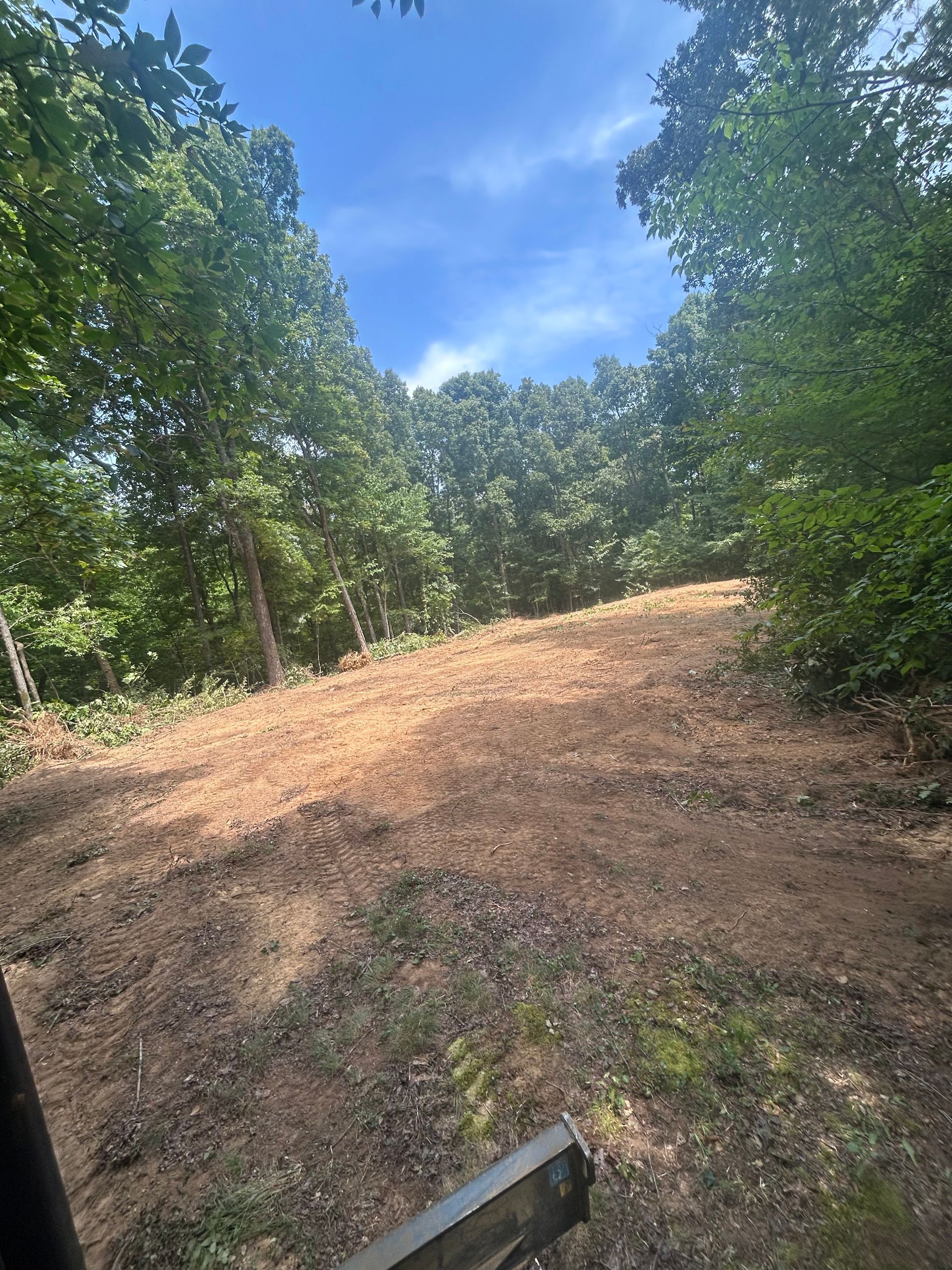 Wooded dirt clearing on a sunny day, with green trees framing a blue sky.