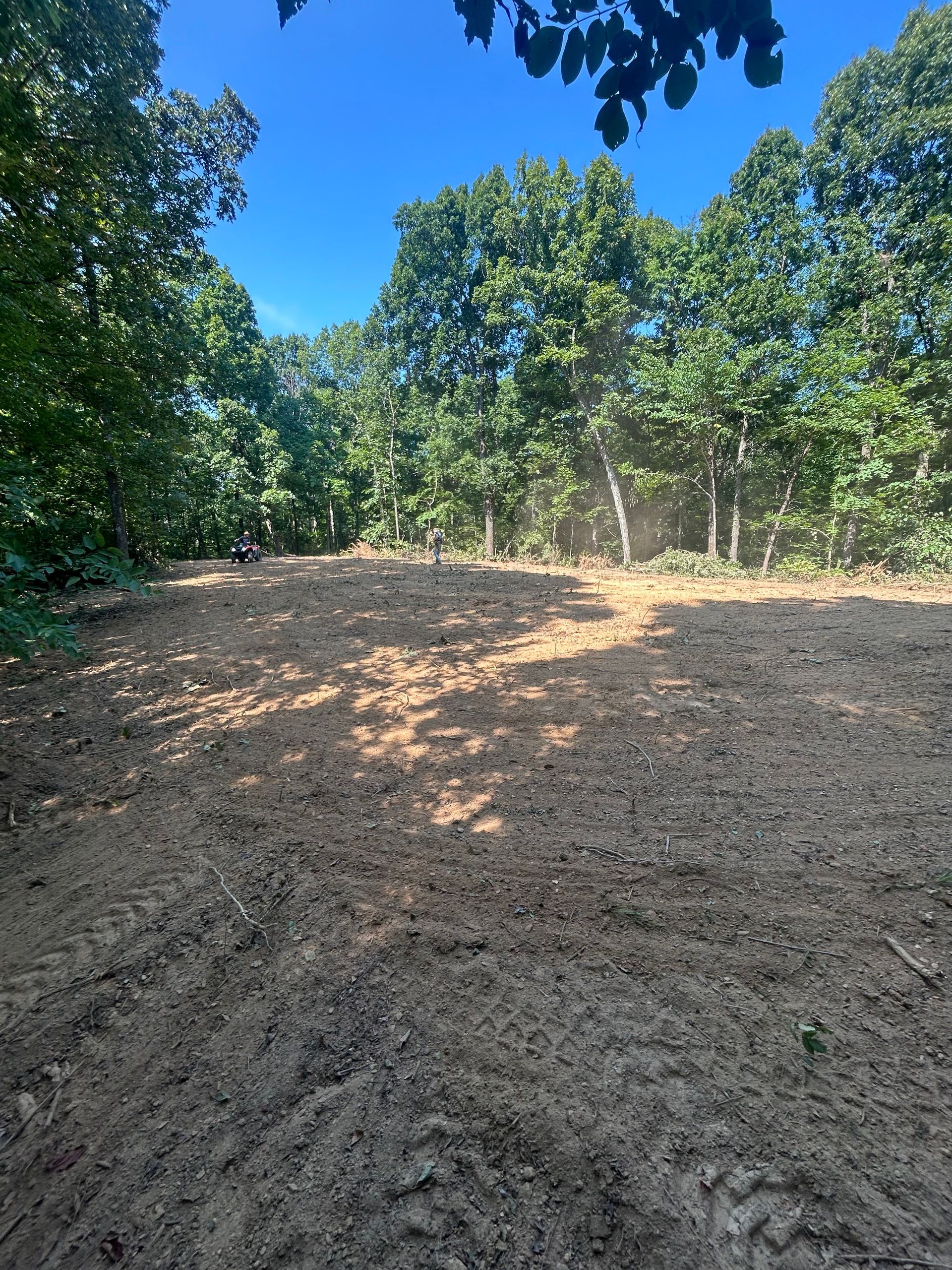 Bare dirt clearing surrounded by trees under a bright blue sky.