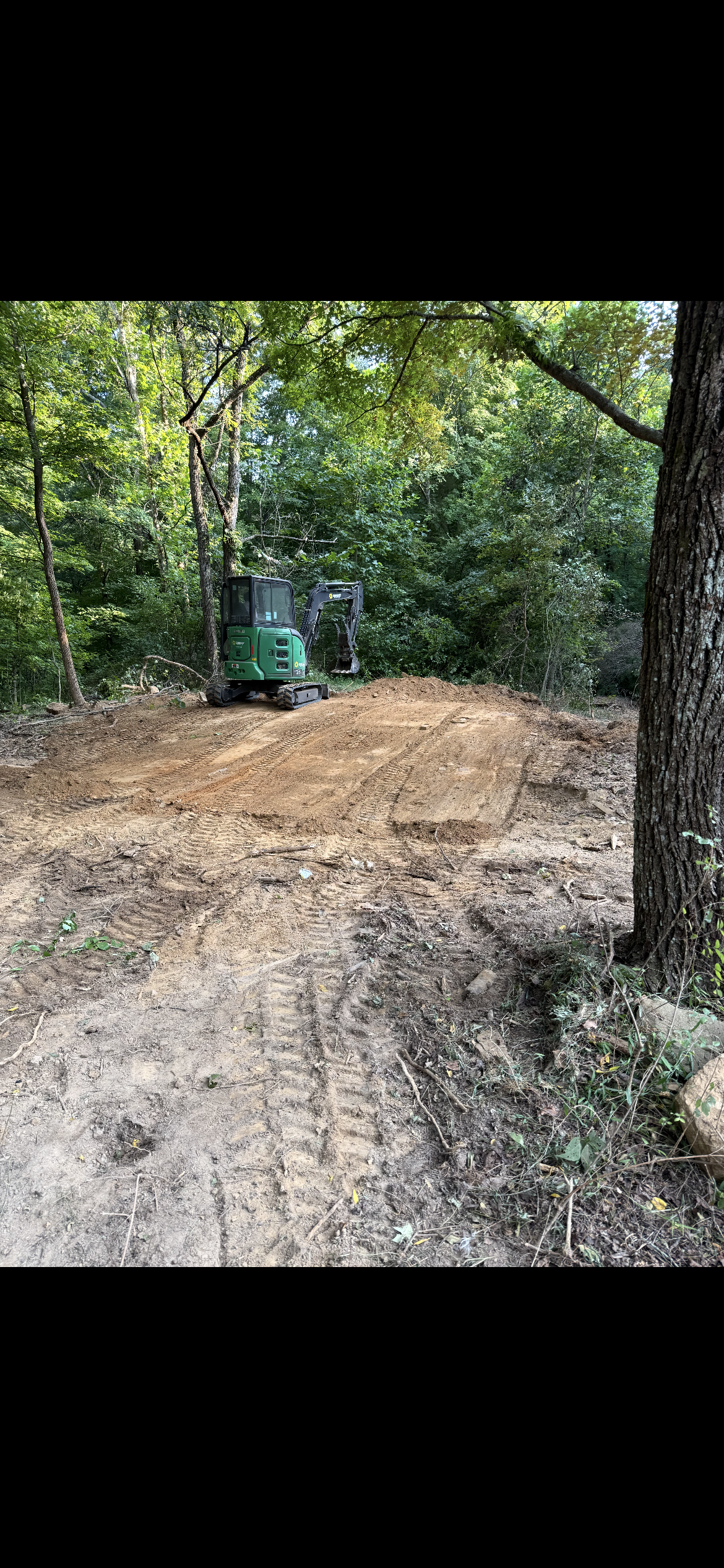 Dirt path in a wooded area beside a large tree and a green trash bin.