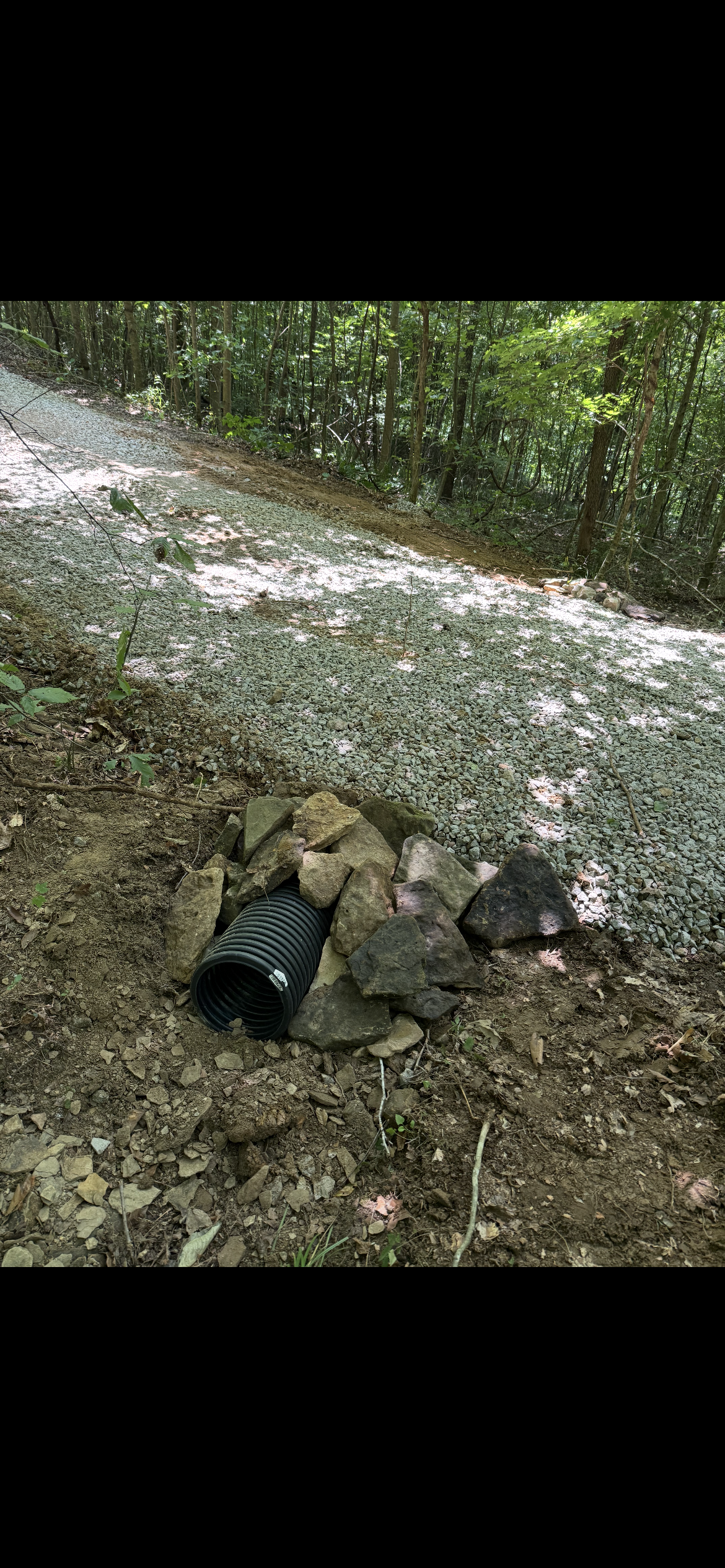 Camouflaged person lying on a leaf-covered forest floor beside a wooded path.